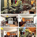 Tineretului Lux, Natura si Confort: Apartament in Vila Boutique langa  Tineretului